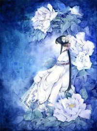 缚美传